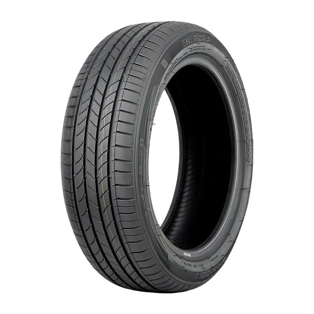 Pneu Speed Max Energrip SPM022 175/55 R16 80H EV