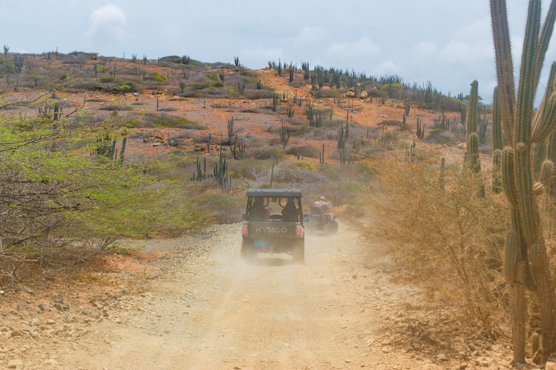 wrangler goodyear SUV caminhonete estrada terra chuva desempenho
